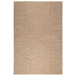 Avis vidaXL Tapis ZIZUR 160x230 cm aspect de jute intérieur et extérieur