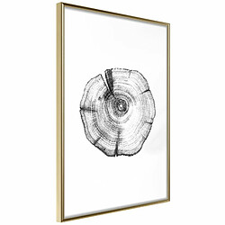 Paris Prix Affiche Murale Encadrée Tree Rings 20 x 30 cm Or