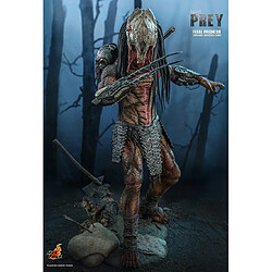 Avis Hot Toys TMS114 - Prey 2022 - Feral Predator