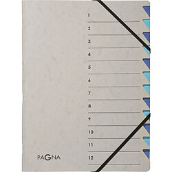 PAGNA Trieur 'Easy Grey', A4, 12 compartiments, gris / bleu ()