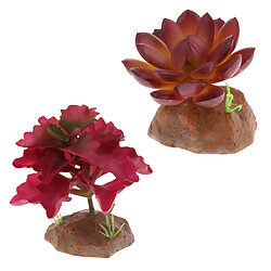 Avis 2 Pcs Plante Succulente Avec Base De Résine Reptile Terrarium Vivarium Ornement Vivarium