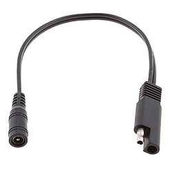 Câble adaptateur SAE vers coaxial