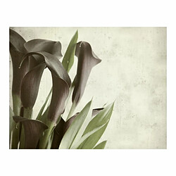 Paris Prix Papier Peint Fleurs Calla Violet Foncé Vintage 154 x 200 cm