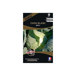 Sanrival Graines potagères premium chou Chou blanc Sir