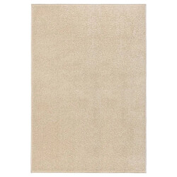 vidaXL Tapis à poils courts 160x230 cm Beige