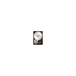 Seagate Technology ST3300656SS Disque Dur Interne 300Go HDD 3.5" 15000RPM SATA Noir