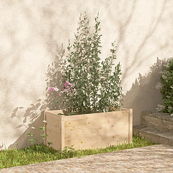 vidaXL Jardinières 2 pcs 100x50x50 cm Bois de pin massif