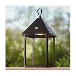 Avis Endon Lampe de table extérieur Hoot Verre,alliage d'aluminium Noir mat, verre transparent