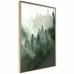 Paris Prix Affiche Murale Encadrée Steaming Forest 20 x 30 cm Or