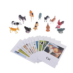 Acheter Éducation Animaux Jouet Carte Modèle Animal