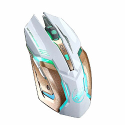 Avis Universal Rechargeable 2,4 GHz Wireless Gaming Mouse Backlight USB Optical Gamer Gamer MICE pour ordinateur