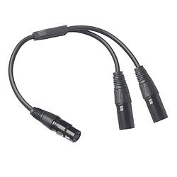 Avis Câble Séparateur XLR Câble de Microphone