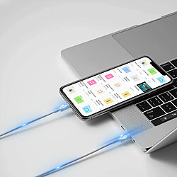 Acheter Avizar Câble USB-C vers Lightning Charge et Synchro Rapide Silicone Résistant 1m Blanc