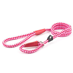 Laisse Heritage Lasso en Corde en Nylon pas cher