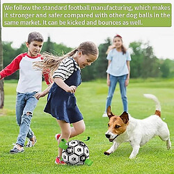 Jouet Balle pour chien extérieur Multifonctionnel Interactif avec corde Jouet Football pour chien