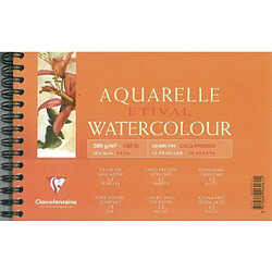 Clairefontaine 96062C Papier aquarelle Grain Fin 12 Feuilles Blanc