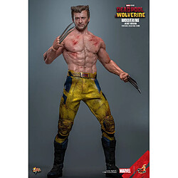 Avis Hot Toys MMS756 - Marvel Comics - Deadpool & Wolverine - Wolverine Jacket Version