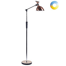 Beliani Lampadaire ANDROMEDA Cuivré