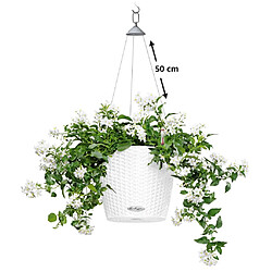 Acheter LECHUZA Jardinière suspendue NIDO Cottage 28 ALL-IN-ONE Blanc