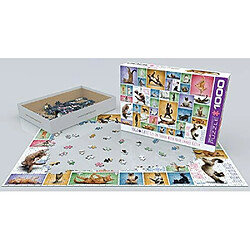 Avis Eurographics Yoga cats Puzzle 1000 piAces