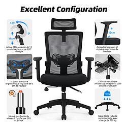 Acheter Chaise de Bureau Ergonomique Lexzurn, Accoudoirs Réglables, Noir