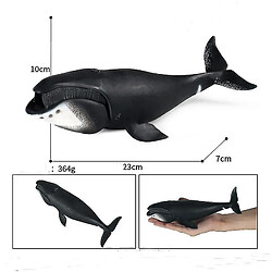 Avis Universal Simulation Marine Life Model Toy Bowhead Whale Shark Prédance Éducation cognitive