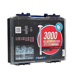 Coffret 3000 vis autoperceuses Scellit tête cylindrique