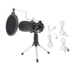 Microphone Karaoké KTV Studio Speech Hand Held Vocal Mic Silver Grey