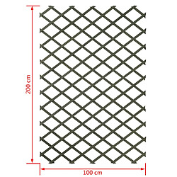 Avis Nature Palissade de jardin 100 x 200 cm Bois Vert