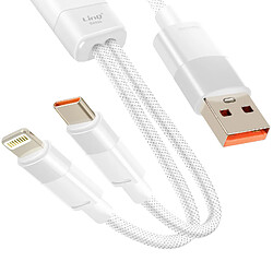 LinQ Câble de Charge et Synchronisation USB vers Lightning et USB-C 60W Blanc