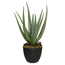 Atmosphera, Createur D'Interieur Aloe Vera artificiel H.44 cm - Atmosphera