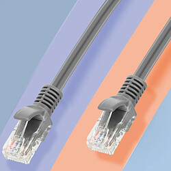 Avis Câble Réseau Ethernet RJ45 Catégorie 6 Connexion Rapide Fiable 30m LinQ Gris