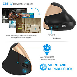 Universal Souris ergonomique rechargeable 2.4G sans fil 6 boutons verticaux 1600dpi réglable Ordinateur portable PC Souris à batterie en or(Or) pas cher