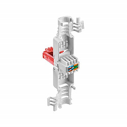 ENTER-WEB Fiche RJ45 CAT6 (à sertir sans pince)