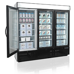 Avis Congélateur Vertical de Vitrine NF7500G - TEFCOLD