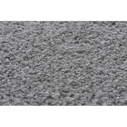 RUGSX TAPIS - MOQUETTE DISCRETION argentin 150x200 cm pas cher