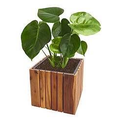 Mendler Jardinière HWC-L24, Jardinière Pot de fleur, carré 32x32x32cm Outdoor Acacia bois certifié MVG, brun