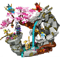 Avis 71819 LEGO® NINJAGO® Le sanctuaire de la roche du dragon