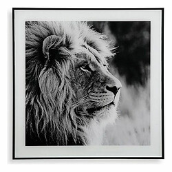 Cadre Versa Lion Verre (2 x 50 x 50 cm)