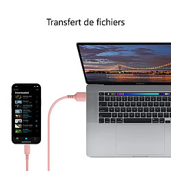 Platyne Chargeur Usb Vers Lightening / Iphone 1,50 Metre