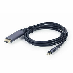 Acheter Adaptateur HDMI vers DVI GEMBIRD CC-USB3C-HDMI-01-6 Noir/Gris 1,8 m