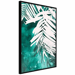 Paris Prix Affiche Murale Encadrée White Palm on Teal Background 20 x 30 cm Noir