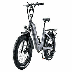 Avis Vélo Électrique FAFREES F20 Master - Moteur 500W Batterie 1080WH Autonomie 110KM - Gris bronze