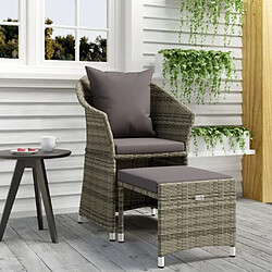 vidaXL Salon de jardin 2 pcs avec coussins Gris Résine tressée