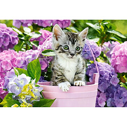 Puzzle 1500 elements Kitten in Basket