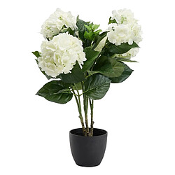 Atmosphera, Createur D'Interieur Hortensia H.60 cm - Atmosphera