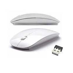 Bluestork souris blanche sans fil