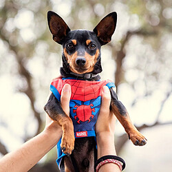 SPIDERMAN T-shirt pour Chien Spiderman - XS