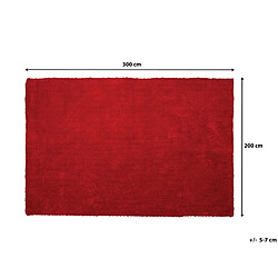 Beliani Tapis 200 x 300 cm cm rouge DEMRE