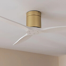 Ventilateur de Plafond Cecotec EnergySilence Aero 5500 Aqua Blanc 40 W Ø132 cm Bois